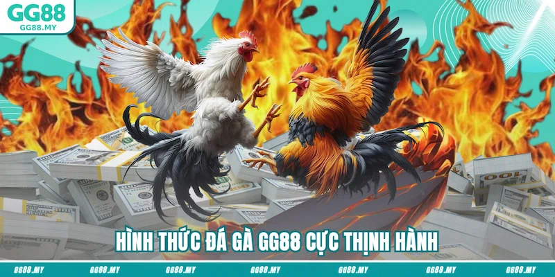 Đá gà đòn thiên về lối chọi truyền thống